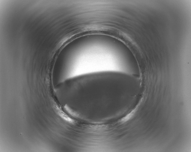 X0000066511025200603171146