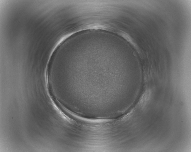 X0000066511032200603171146