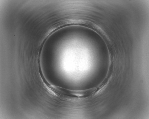 X0000066511033200603171146