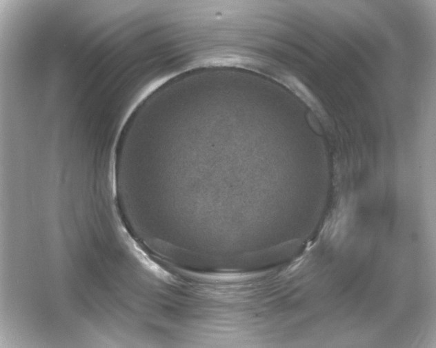 X0000066511036200603171146