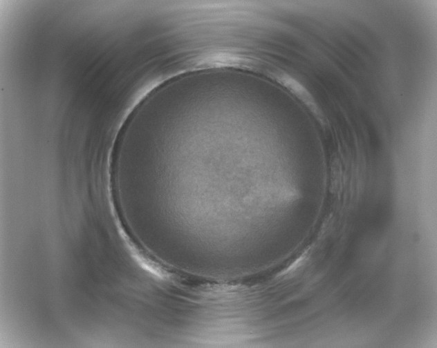 X0000066511039200603171146