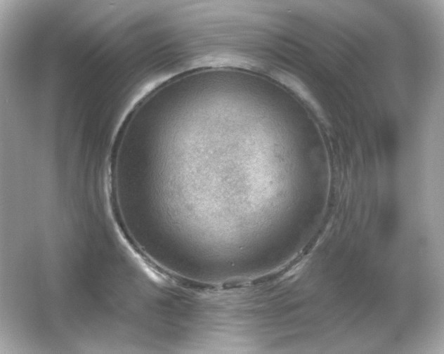 X0000066511040200603171147