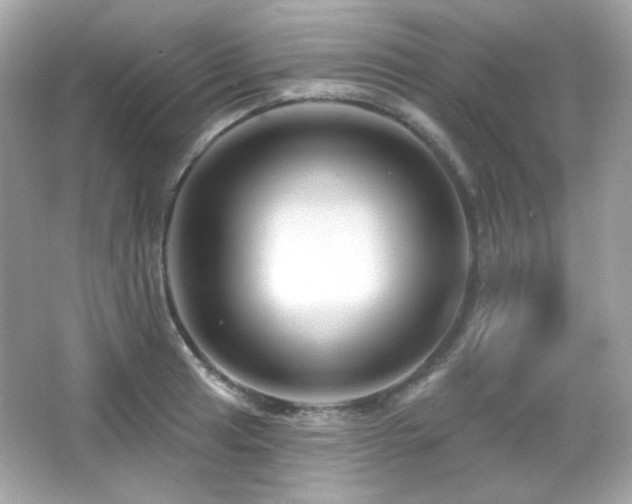 X0000066511041200603171147