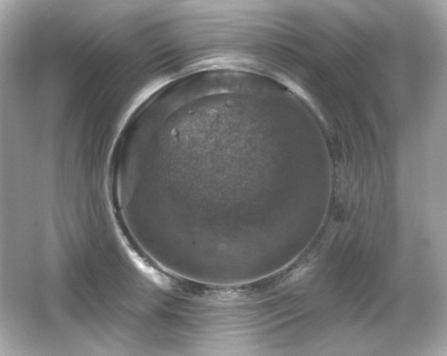 X0000066511042200603171147