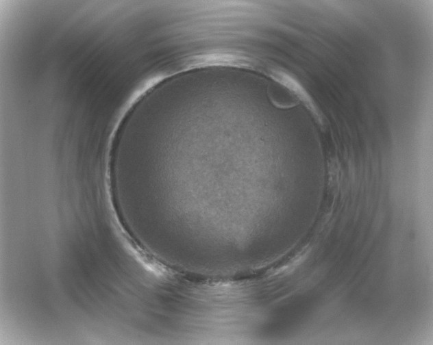 X0000066511043200603171147