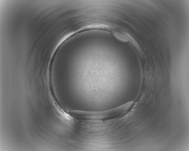 X0000066511044200603171147