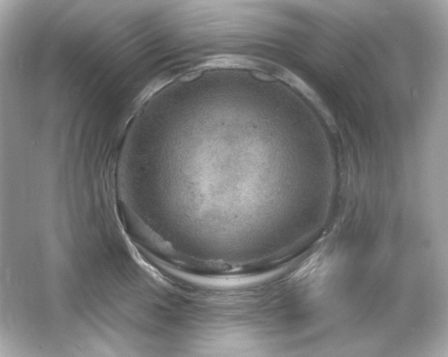 X0000066511049200603171147