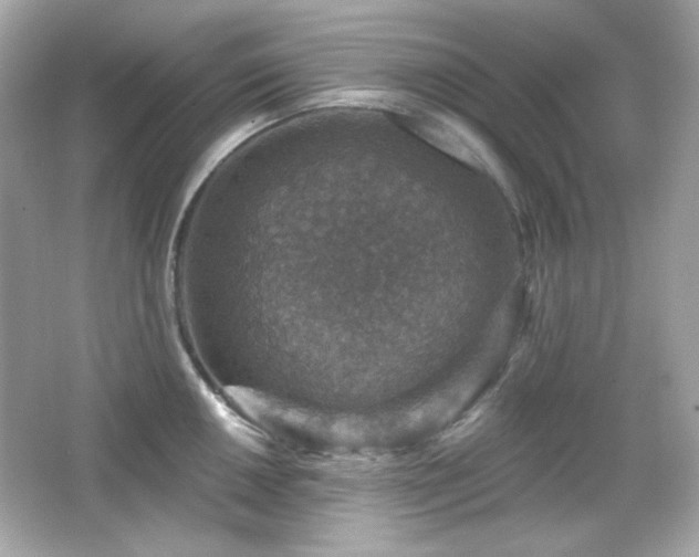 X0000066511050200603171147
