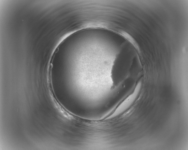 X0000066511052200603171147