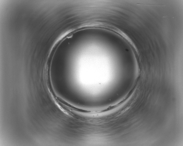 X0000066511053200603171147