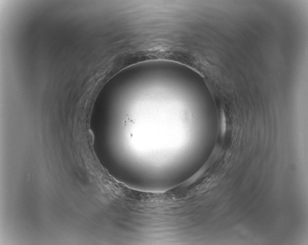 X0000066511057200603171146