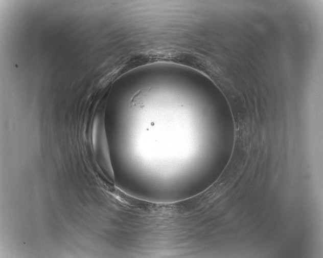 X0000066511058200603171146