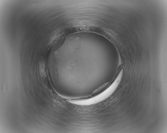 X0000066511060200603171146