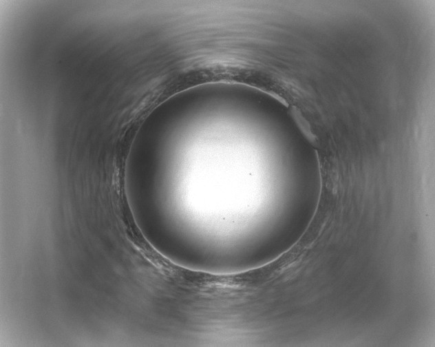 X0000066511061200603171146
