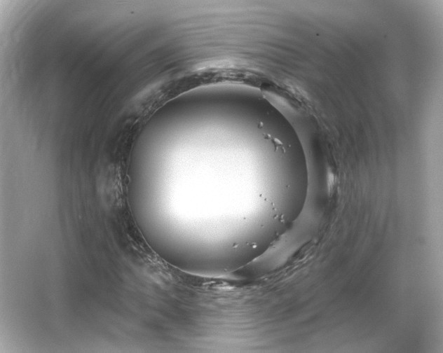 X0000066511062200603171146