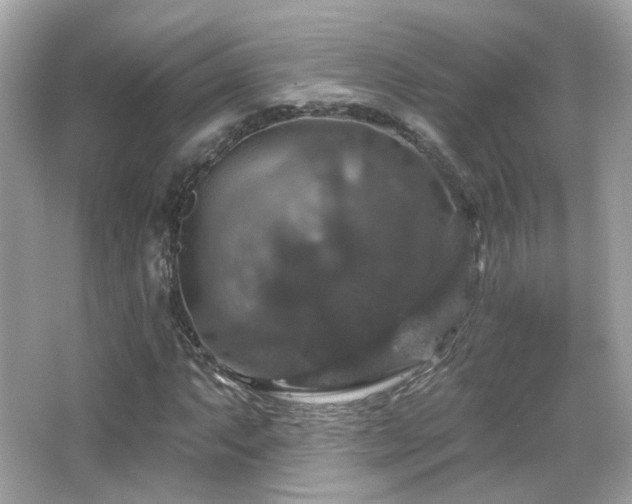 X0000066511063200603171146