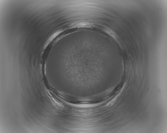 X0000066511066200603171146
