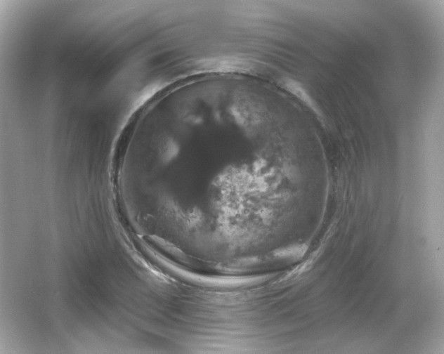 X0000066511071200603171146