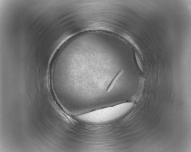 X0000066511076200603171146