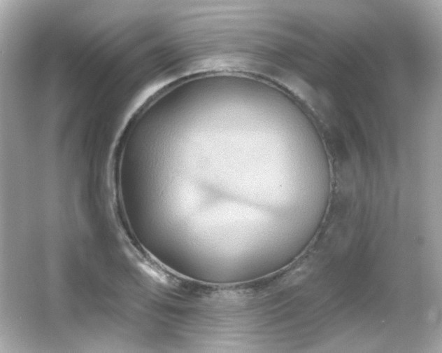 X0000066511078200603171146