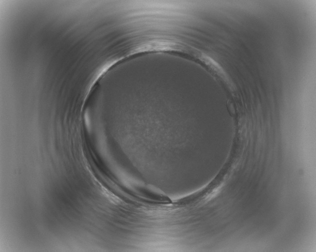 X0000066511081200603171145
