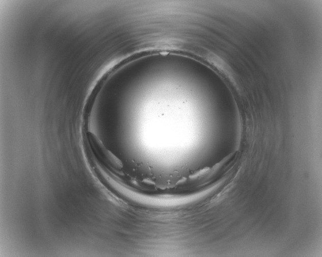 X0000066511085200603171145
