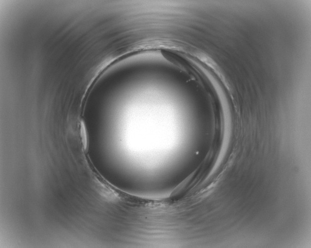 X0000066511089200603171145