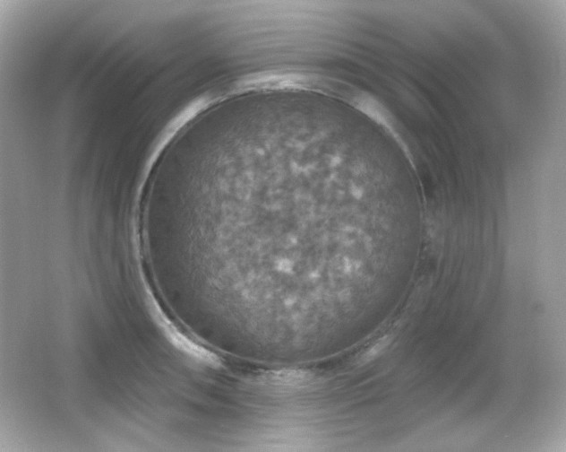X0000066511090200603171145