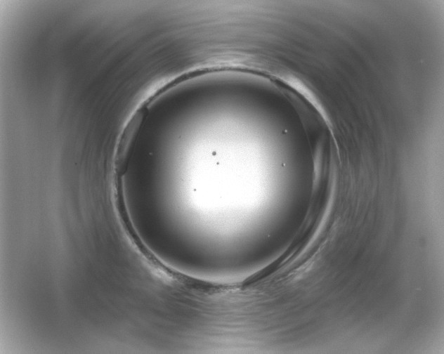 X0000066511093200603171145