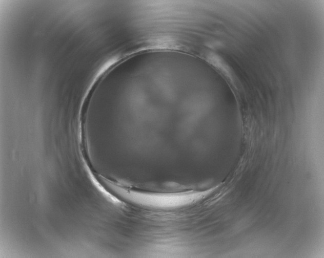 X0000066511095200603171145