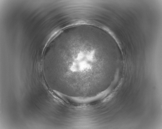 X0000066511097200603171145