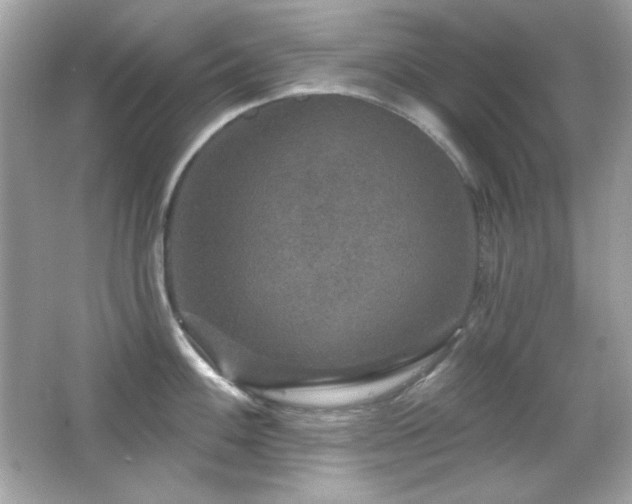 X0000066511100200603171145