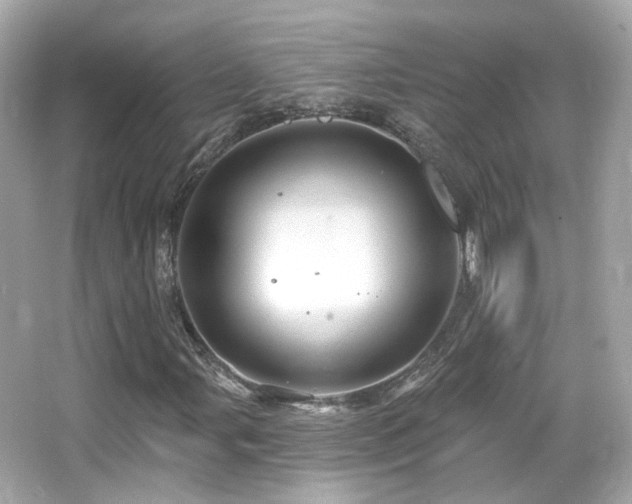X0000066511107200603171144