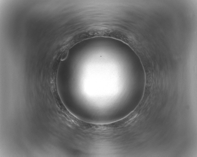 X0000066511109200603171144