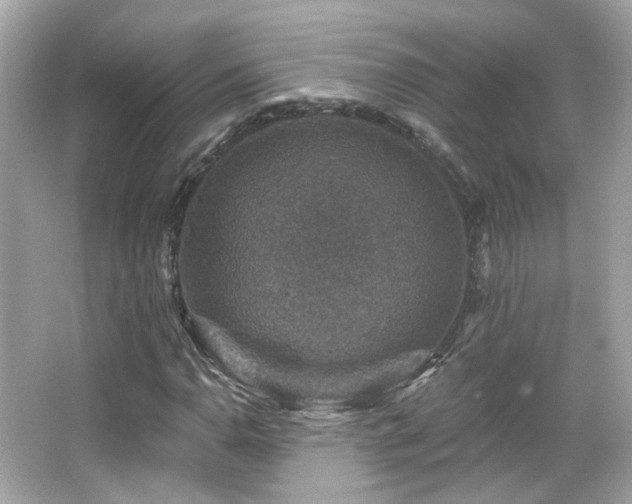 X0000066511110200603171144