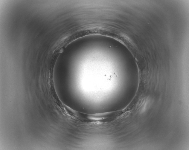 X0000066511111200603171144