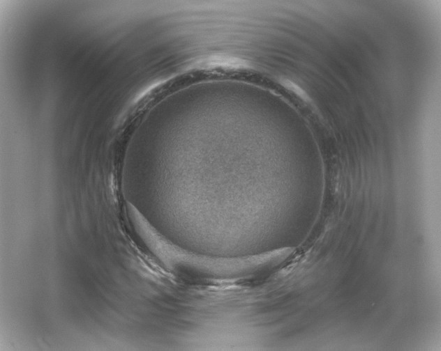 X0000066511112200603171144
