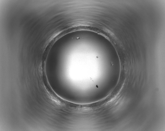 X0000066511113200603171144