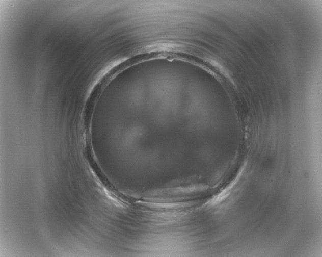 X0000066511117200603171144
