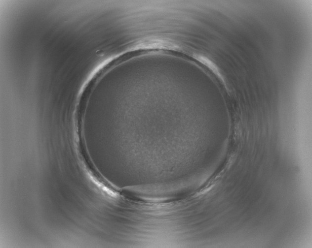 X0000066511120200603171145