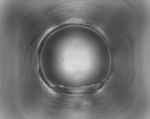 X0000066511123200603171145