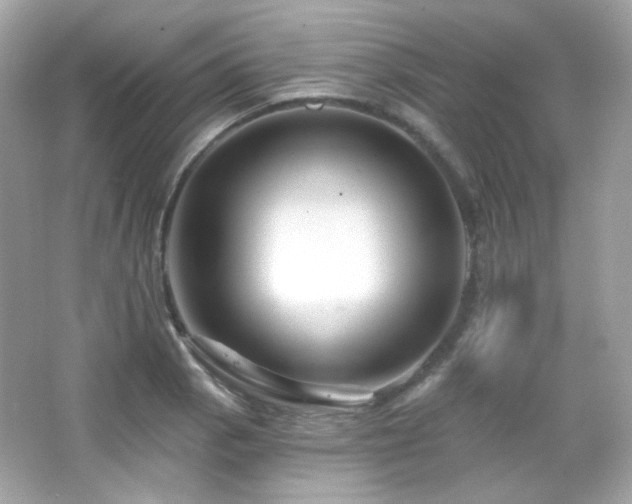 X0000066511129200603171145