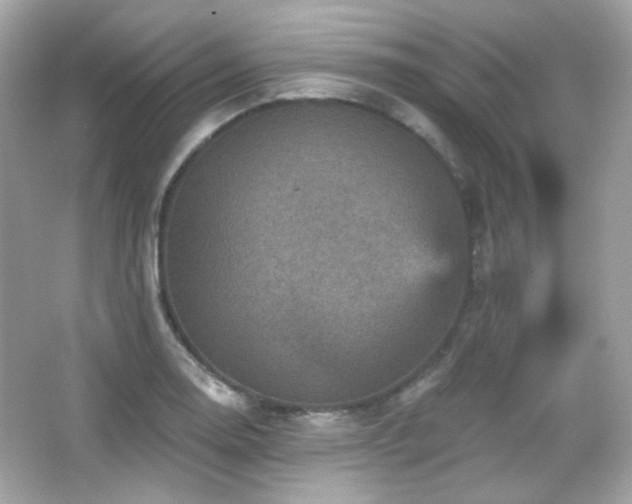 X0000066511130200603171145