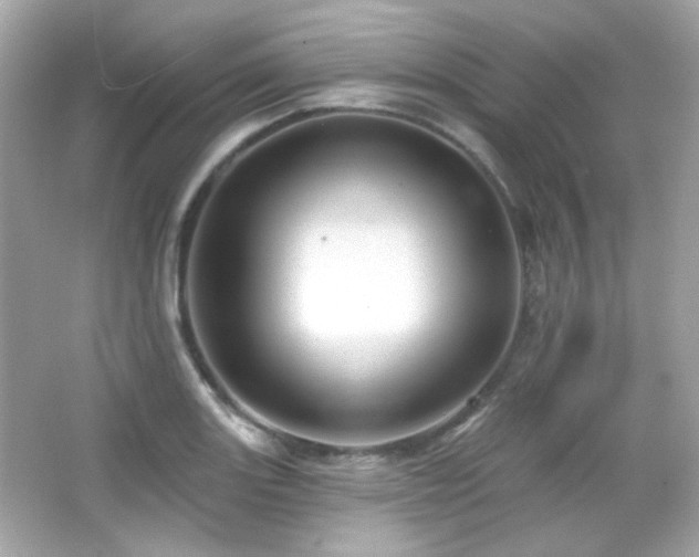 X0000066511131200603171145