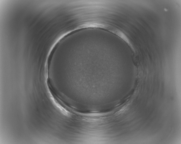 X0000066511132200603171145