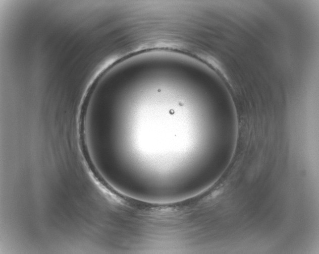 X0000066511135200603171145