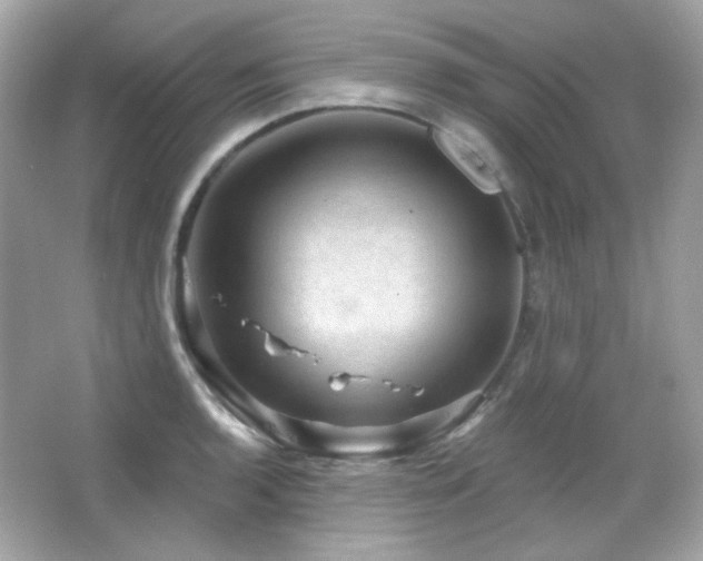 X0000066511136200603171145