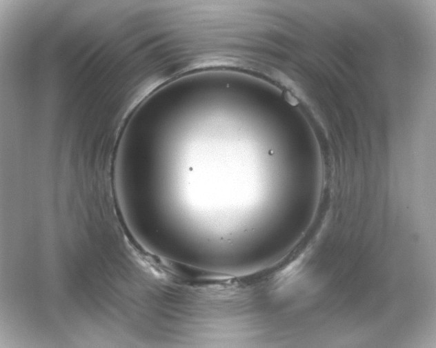 X0000066511137200603171145