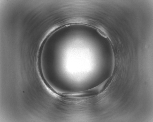 X0000066511139200603171145