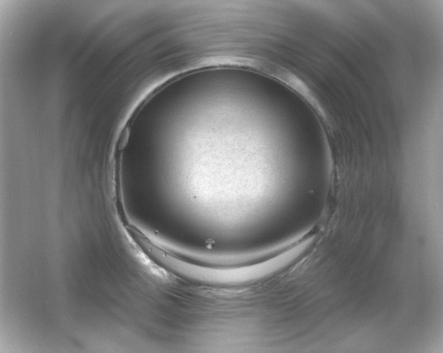 X0000066511140200603171145